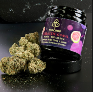 TopCrop - TopCrop - Galactic Guava - 3.5g - Flower