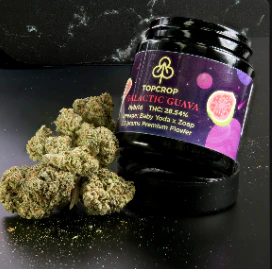TopCrop - TopCrop - Galactic Guava - 3.5g - Flower Main Image