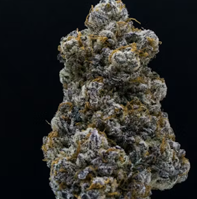 High Falls Canna | Flower | purple punch X | 3.5G