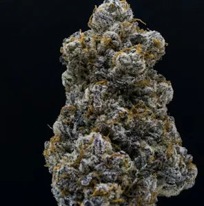 High Falls Canna - High Falls Canna | Flower | purple punch X | 3.5G