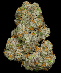 High Falls Canna - High Falls Canna | Flower | girl scout cookies X | 14G