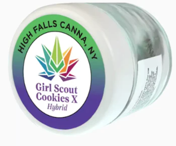 High Falls Canna | Flower - Girl Scout Cookies X | 3.5g