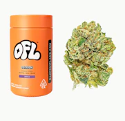 Oakfruitland | OG Kush Premium Flower Jar 14g - Big Buds