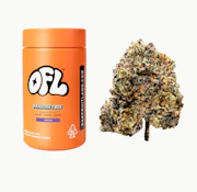 Oakfruitland | Pandora's Box Jar 14g