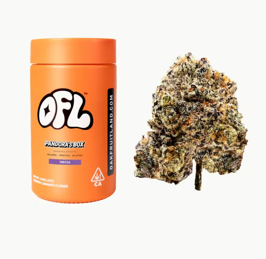 Oakfruitland (OFL) - Oakfruitland | Pandora's Box Jar 14g Main Image