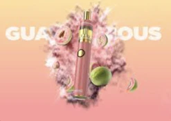 Dime Signature AIO 1g - Guavalicious 80%