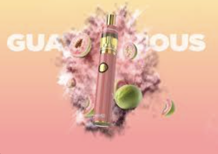 DIME INDUSTRIES - Dime Signature AIO 1g - Guavalicious 81%