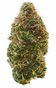 Real Life Botanicals - Real Life Botanicals - Topanga Poison - 1g Preroll