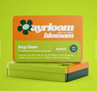 ayrloom - Ayrloom - Key Lime - 5pk Infused Prerolls
