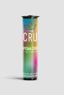 Cru | Kief Infused Preroll | Tropicana Cookies | 0.5g