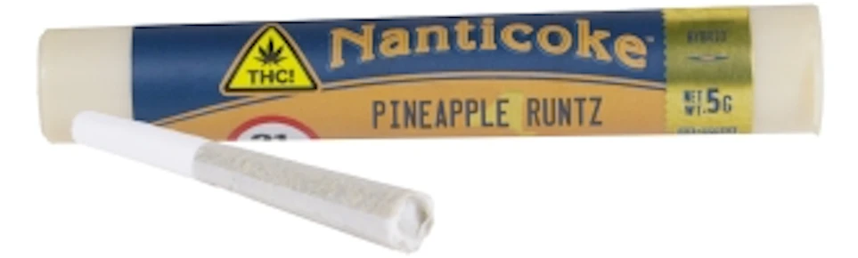 Nanticoke | Pre Roll | pineapple runtz | .5G |