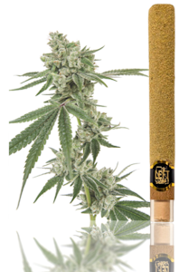 LEFT COAST - Left Coast - Maui Waui - 2g Premium Infused Blunt