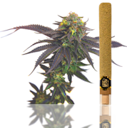 Left Coast - Grape Cookies - 2g Premium Infused Blunt