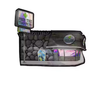 Herbarium | Hawaiian | 10G Sativa