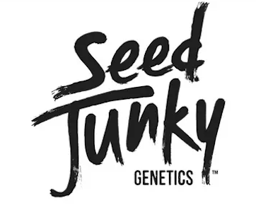 Seed Junky Genetics - Seed Junky Genetics - 3.5g - Santorini