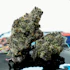Product Preview Image 1