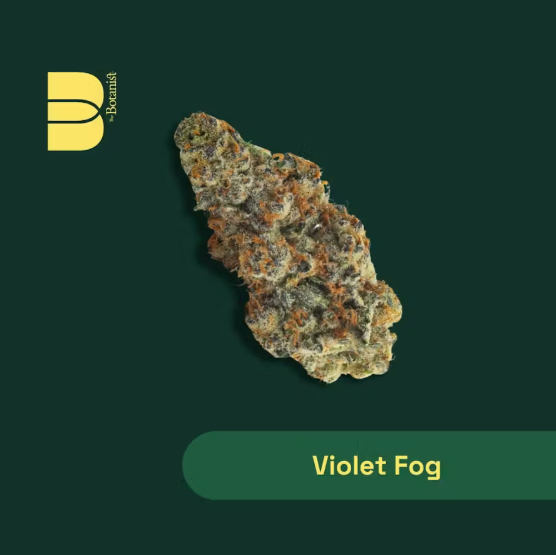 Botanist | Flower | Violet Fog | 28g