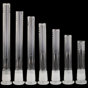 EVERGREEN - Down Stems Assorted