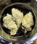 Bass River Buds | GG4  X  Oreoz | 3.5g | Flower