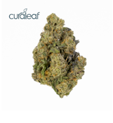 Curaleaf 14g Apes In Space (I) 00879