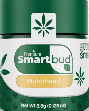 SmartBud - Smart bud - Motorhead - Flower - 3.5g Main Image