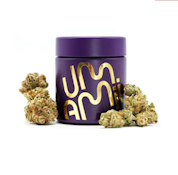 Umamii- Georgia Apple Pie- 3.5g Flower