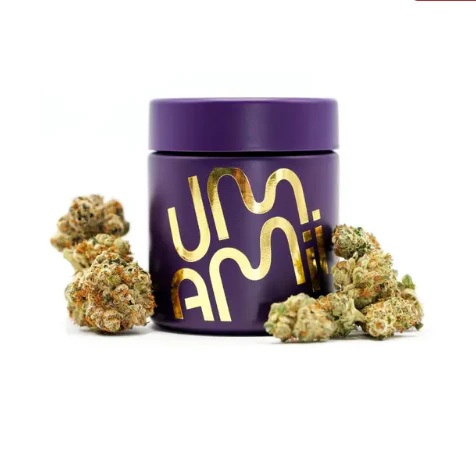 Umamii - Umamii- Big Head- 3.5g Flower Main Image