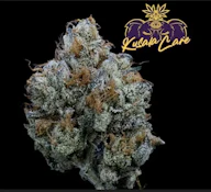 Kusala | Flower | Gary Payton | 3.5g