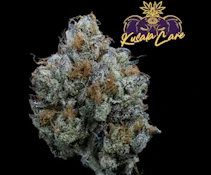 Kusala | Flower | Straw-picanna | 3.5g