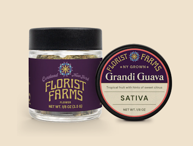 FLORIST FARMS - Florist Farms- Grandi Guava- 3.5g Flower