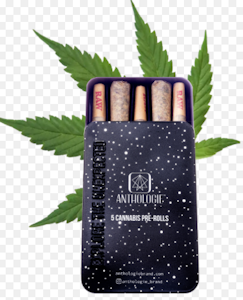 ANTHOLOGIE - Glitter Bomb 5pk/2.5g Prerolls