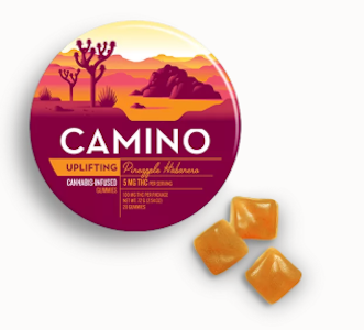 CAMINO - Camino | edibles | pineapple habanero | 5mg \ pc | 100mg |