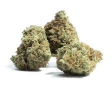 Amnesia Haze | 3.5g Flower | TAX INCLD