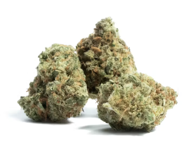 Blackstone Valley Cannabis - Amnesia Haze | 3.5g Flower | TAX INCLD