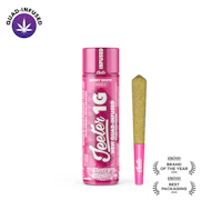 Jeeter - Berry White - 1g Quad Infused Preroll