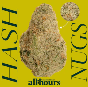 ALL HOURS - all:hours Space Gello Hash Nugs 41527