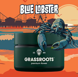Grassroots - Blue Lobster - 3.5G Flower