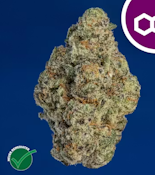 Theraplant Ice Cream Cke 41426