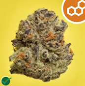 Theraplant Panckes 3.5g 41521