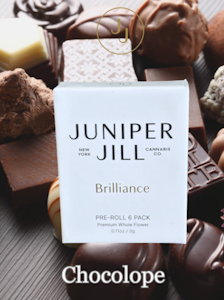 JUNIPER JILL - Chocolope 2.0 - 0.5G 6PK Prerolls