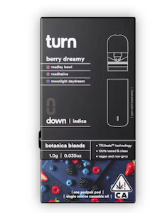 TURN - berry dreamy | 1g | bb pod | turn