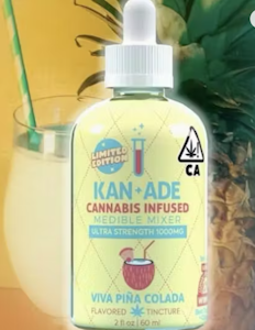 TURN - Pina Colada | 1000mg | Syrup | Kanade