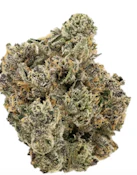Herbarium | Dragon Nutz | 1/2 OZ Flower