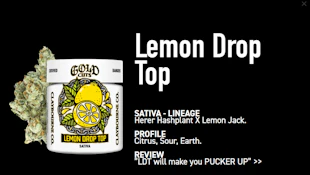 Lemon Drop Top | 3.5g | Gold Cuts | Claybourne