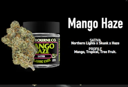 Mango Haze | 3.5g | Classic Cuts | Claybourne