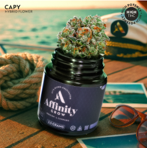AFFINITY - Capy Flower T33.46% H 00795