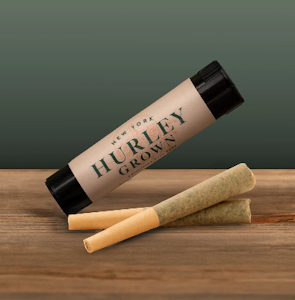 HURLEY GROWN - Hurley Grown - Smash Burger - .5g - Preroll - 2pk