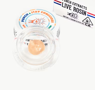 PUNCH EDIBLES & EXTRACTS - PUNCH 1G Madizon Zquare Garden TIER 3 Cold Cure Rosin Badder