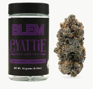 BLEM - BLEM 10G Cyattie Indoor Flower