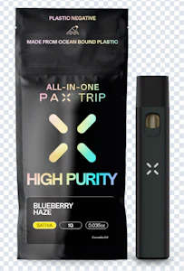 Pax - PAX - Blueberry Haze - High Purity - 1g AIO